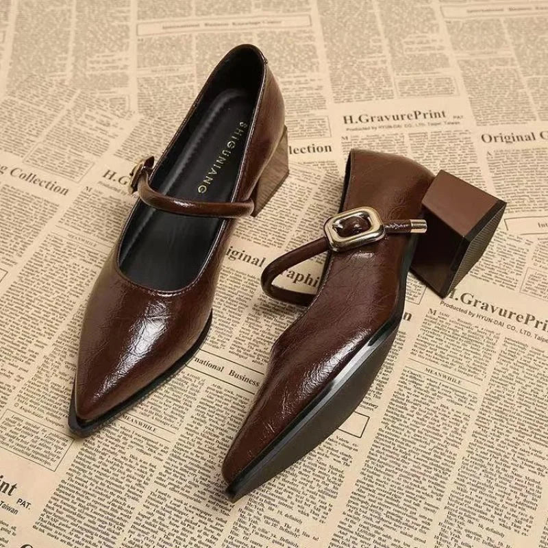 2026 Premium Leather Mary Janes - French Vintage Pointed Toe Pumps Chunky Heel Single Strap Shoes Buckle Decor