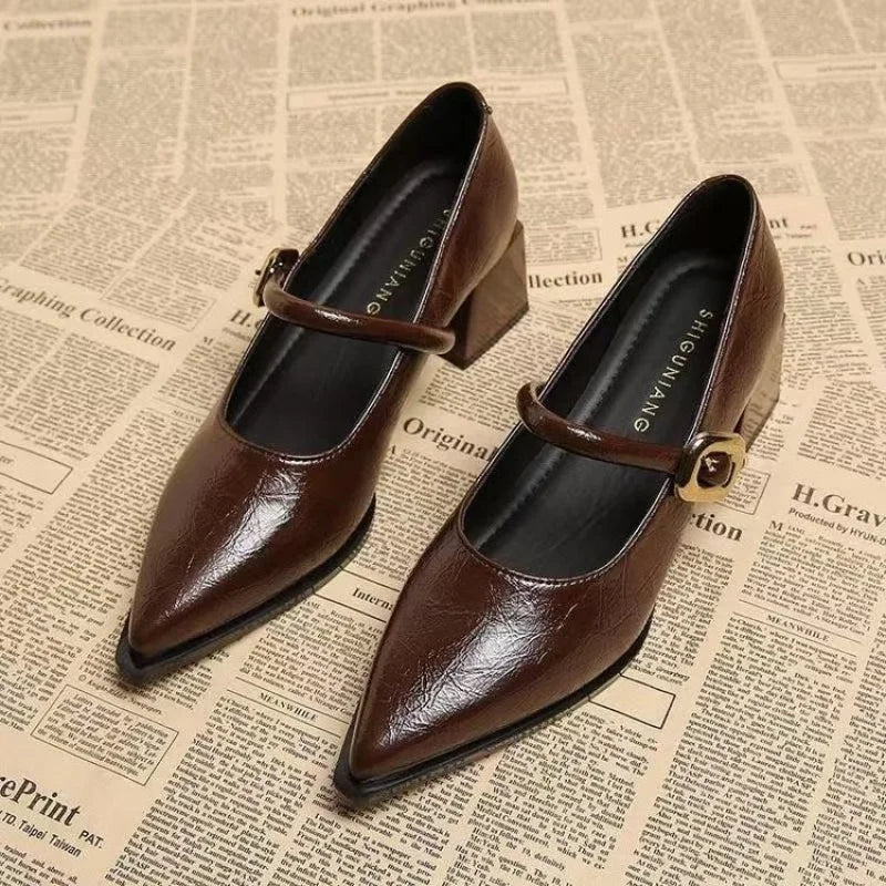 2026 Premium Leather Mary Janes - French Vintage Pointed Toe Pumps Chunky Heel Single Strap Shoes Buckle Decor