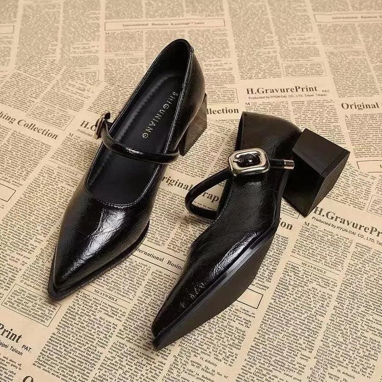 2026 Premium Leather Mary Janes - French Vintage Pointed Toe Pumps Chunky Heel Single Strap Shoes Buckle Decor