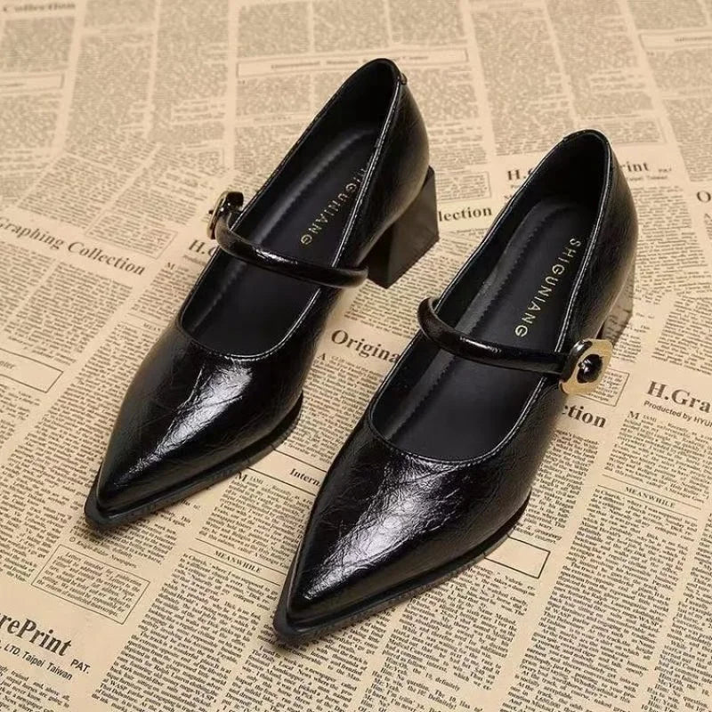 2026 Premium Leather Mary Janes - French Vintage Pointed Toe Pumps Chunky Heel Single Strap Shoes Buckle Decor